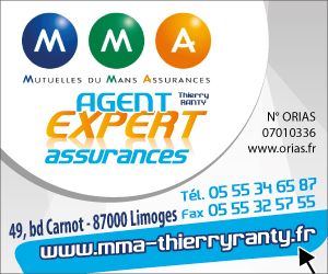 MMA Expert